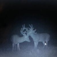 48 Acres with a Home in Wayne County TN images 4