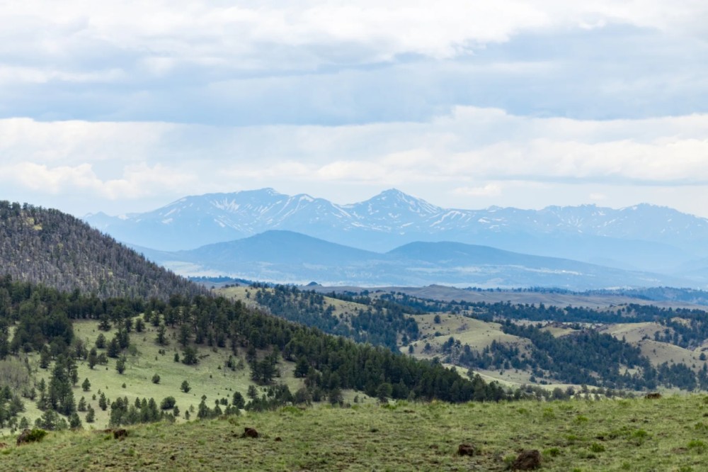 Freshwater Ranch featured image