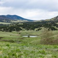 Freshwater Ranch images 2