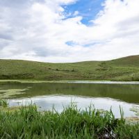 Freshwater Ranch images 3