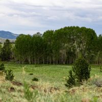 Freshwater Ranch images 4