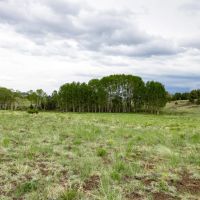Freshwater Ranch images 5