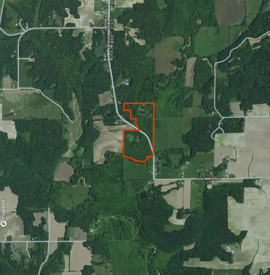 65 Acres of Recreational Ground in Effingham County Hunting Land for Sale