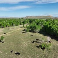 Wind River Ranch images 5