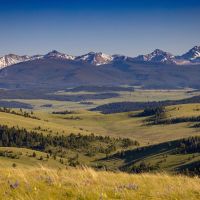 Rocking Chair Ranch images 2