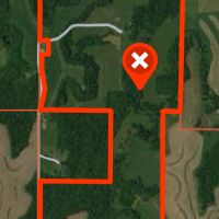 251 acre timber, CRP, FOOD PLOT, with REDNECK BLINDS and water source!