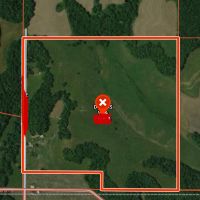 Amazing 151 acre with CRP, Water source and Redneck Blind