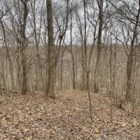 000 Eastman Road GORHAM IL 62940 images 3