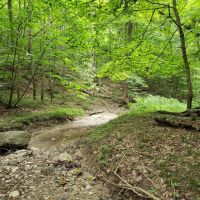 Hilly 56 images 2