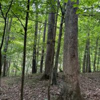 Hilly 56 images 3