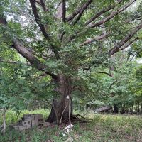 Hilly 56 images 4
