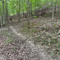 Hilly 56 images 5