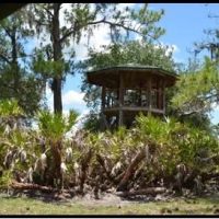 Hunting Preserve 370 - acres on Charlie Creek images 2