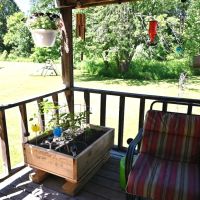 Escape from the City on 29 Acres in Saginaw County MI images 4