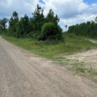 LA - Jackson Ouachita 40 acres -