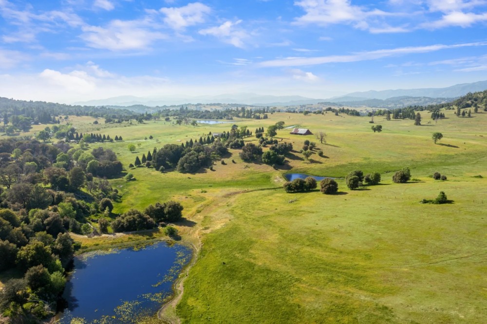 Oak Ridge Stock Farm featured image