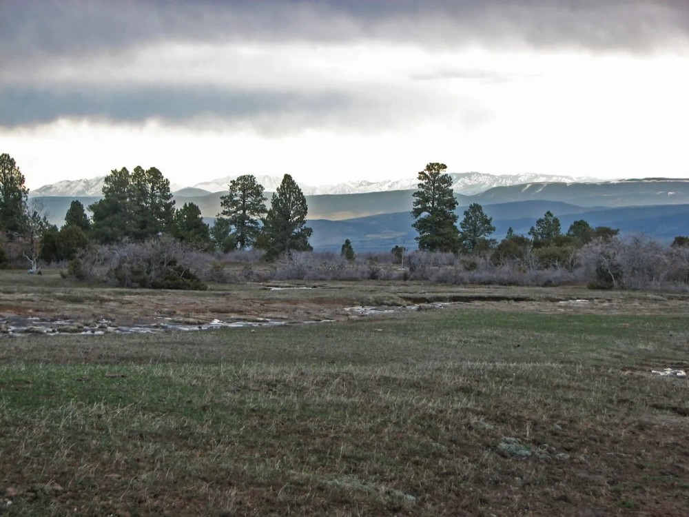 Government Springs Homestead featured image