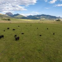 Bar K Ranch images 5