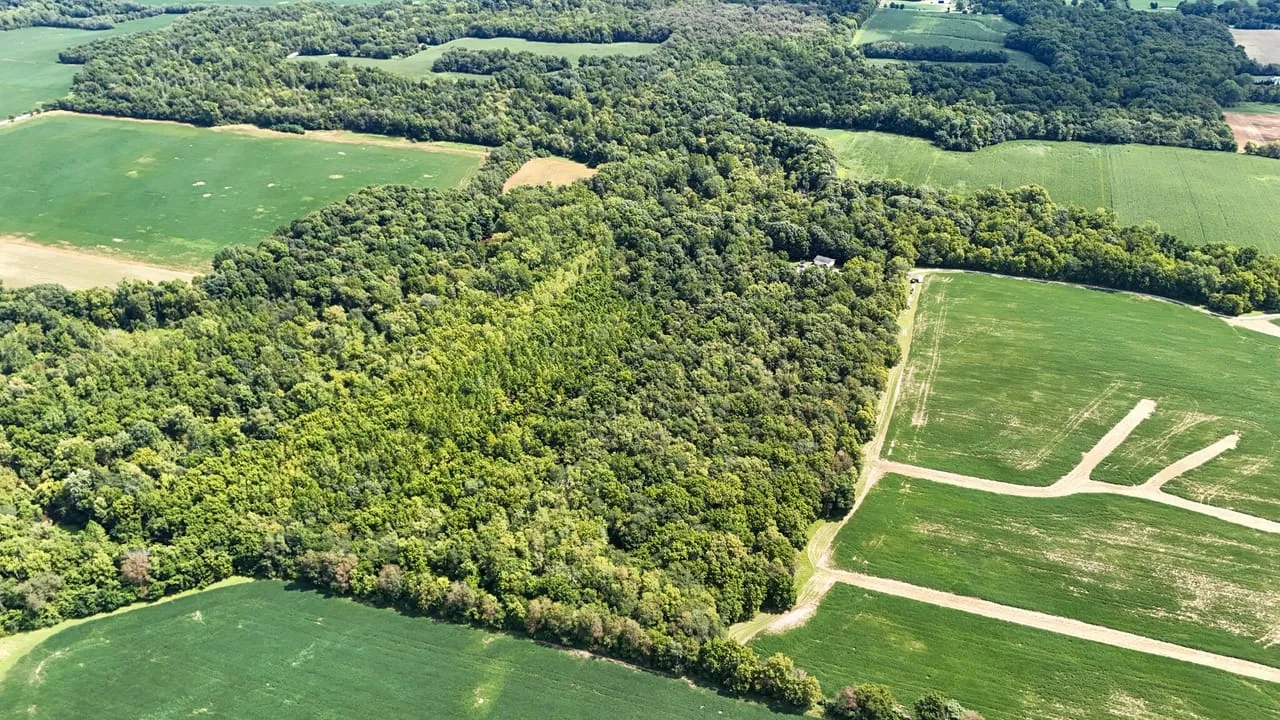 Home Land For Sale Remote Home on 54 Rolling Acres With Paw Paw Creek