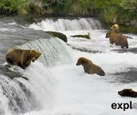 Katmai National Park 4,093,077-acres bear hunting land in King Salmon, AK images 2