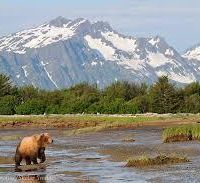 Katmai National Park 4,093,077-acres bear hunting land in King Salmon, AK images 4