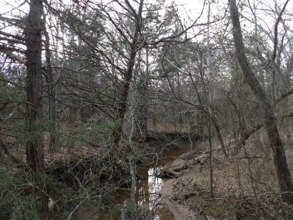 240 ACRES DUAL RANCH AND RECREATION featured image