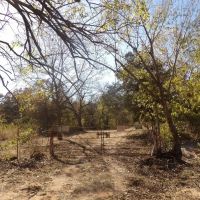 240 ACRES DUAL RANCH AND RECREATION images 2