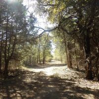 240 ACRES DUAL RANCH AND RECREATION images 4