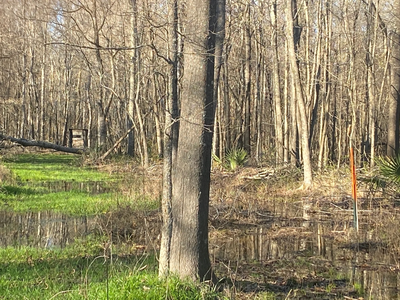 LA Franklin 78 acres Hunting Land for Sale