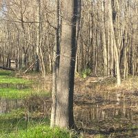 LA - Franklin 78 acres -