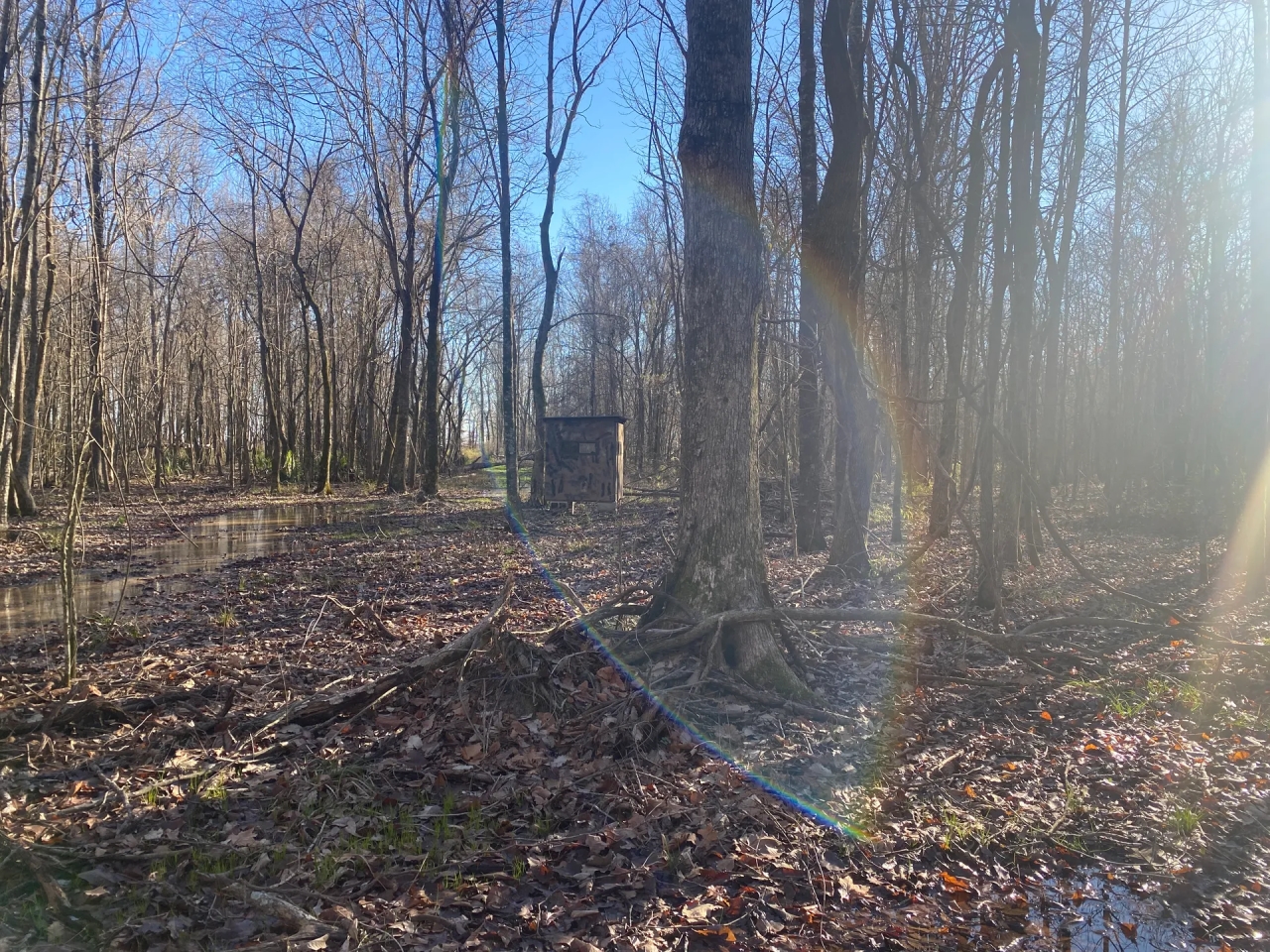 LA Franklin 78 acres Hunting Land for Sale