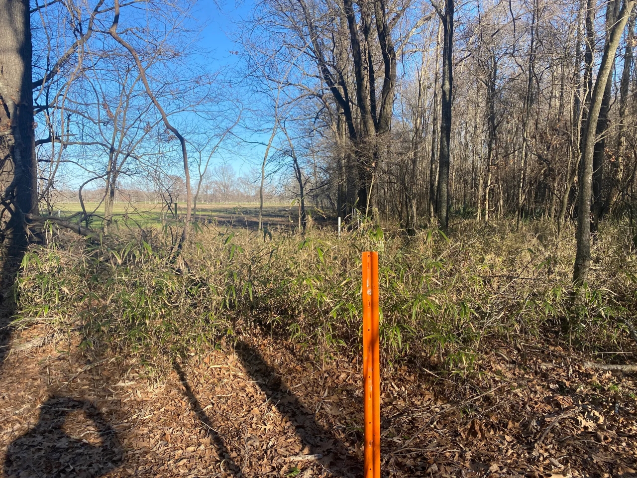 Winnsboro Zip Code at Saul Stenberg blog