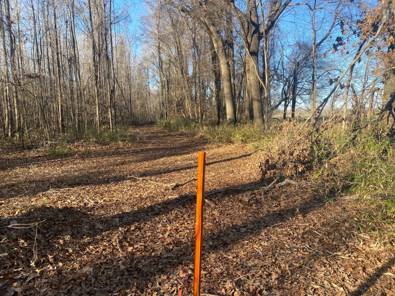 LA Franklin 78 acres Hunting Land for Sale