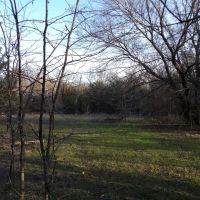 PRICE REDUCED 70 ACRES OF PEACEFUL LIVING images 4