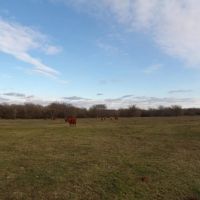 PRICE REDUCED 70 ACRES OF PEACEFUL LIVING images 5