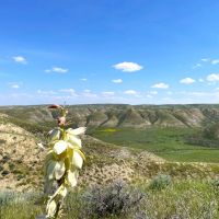 MARIAS RIVER SPORTING RANCH