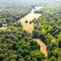 Little Barn Creek images 5