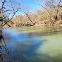 71.2 ACRES LITTLE RIVER FRONTAGE images 4