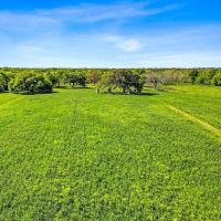 -53 acres CR 223 Weimar TX Colorado County images 3