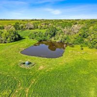 -53 acres CR 223 Weimar TX Colorado County images 4