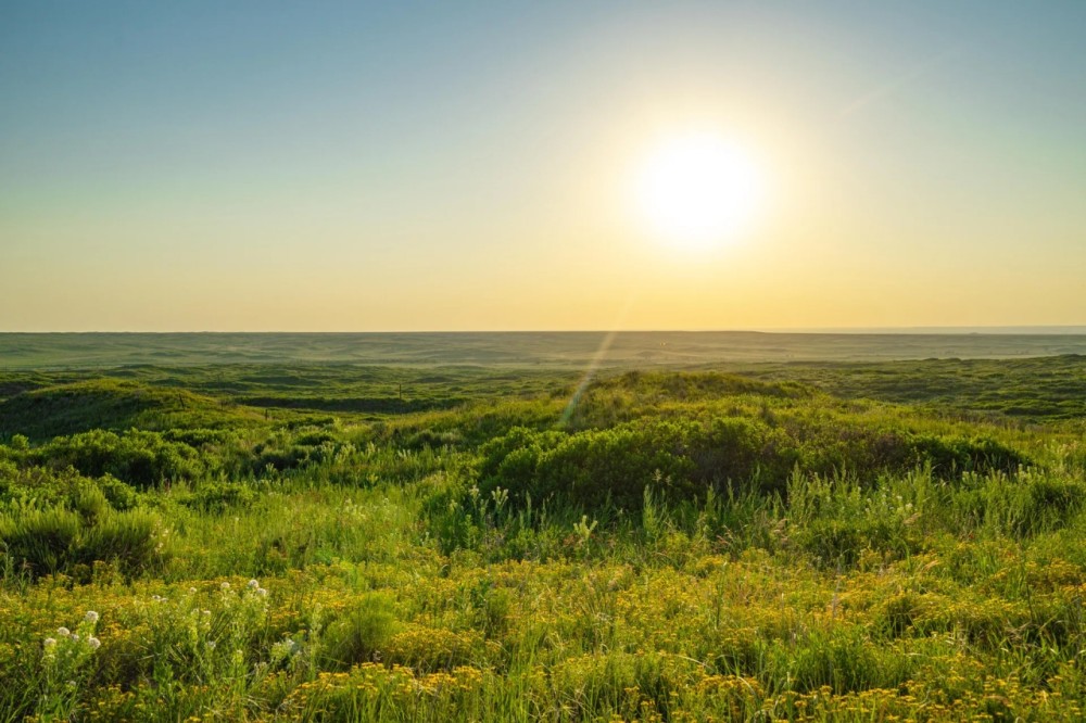 South Division MV2 Ranch featured image