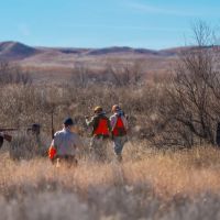 South Division MV2 Ranch images 4