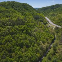 Discover the Hidden Paradise 115 Acres of Serenity and Wildlife in East Tennessee s Bean Station Grainger County images 5