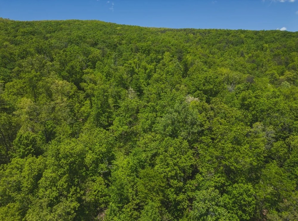 Escape to the Tranquil Beauty of East Tennessee Your Dream Home Awaits featured image