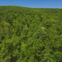 Escape to the Tranquil Beauty of East Tennessee Your Dream Home Awaits
