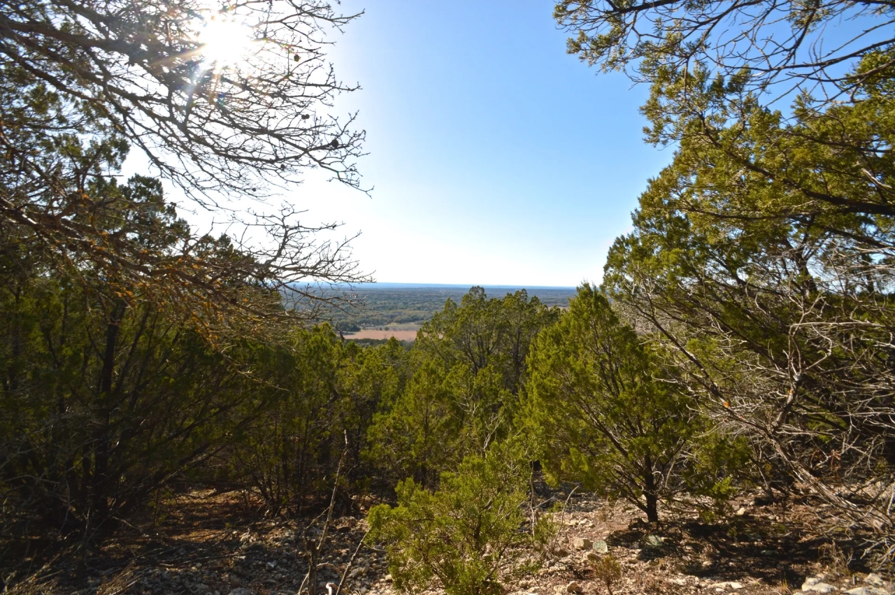 Big Texas Sky Hunting Land for Sale