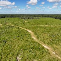 161 Acres T-6 FM 92 287044-045 images 4