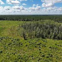 161 Acres T-6 FM 92 287044-045 images 5