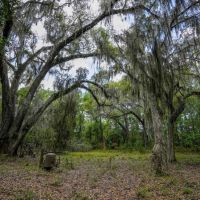 Sheffield Island on Sadlers Creek Bluff images 2
