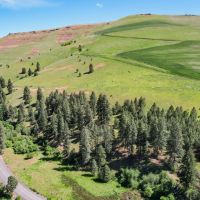Dayton Ranch images 5